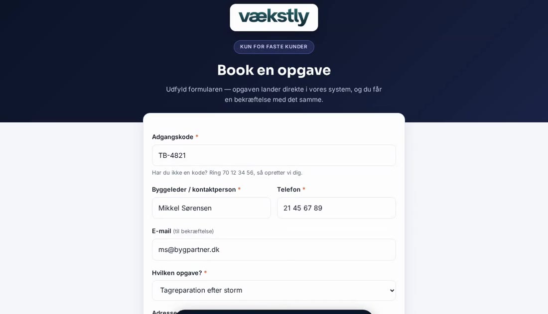 Bookingformular udfyldt med opdigtede data